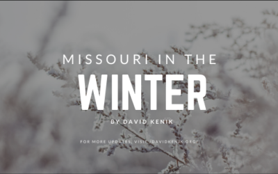 Missouri in the Winter